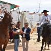 Día de la Cuerda 2025. Corte de la cinta