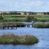Parque Nacional de las Tablas de Daimiel (Archivo mayo 2025)
