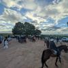 Ruta equina 2025 en la laguna de Navaseca