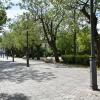 Parque de San Isidro 
