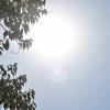 Sol 
