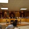 Durante el pleno
